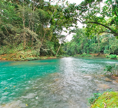 Centro Turístico Cascada Wejlib Ha