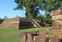 jardin-botanico