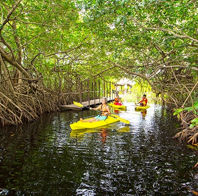 Centro Ecoturístico El Madresa