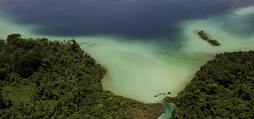 Reserva de la Biosfera Montes Azules