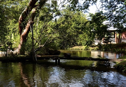 Campamento Ecoturístico Yatoch Barum