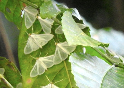 Centro Turístico Mariposas Alas de Agua